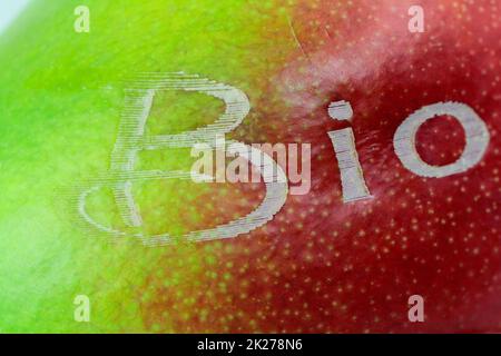 ripe and labeled organic mango Stock Photo