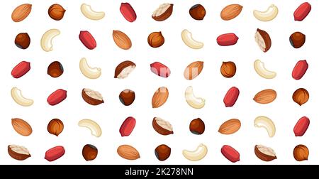 Panoramic walnut pattern, different varieties of nuts - Vector Stock Photo