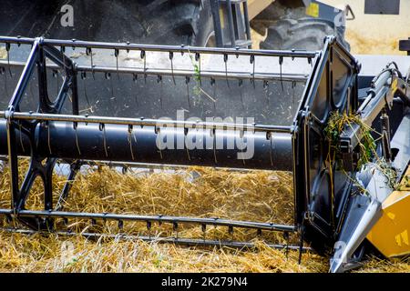 Harvesting wheat with a combine harvester. Stock Photo