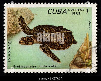 Cuban postage stamp featuring sea turtle. Ancient reptile Stock Photo