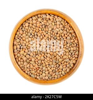 Brown lentils, mountain lentils, Lens culinaris, in a wooden bowl Stock Photo