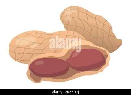 Realistic roasted peanut nuts white background - Vector Stock Photo