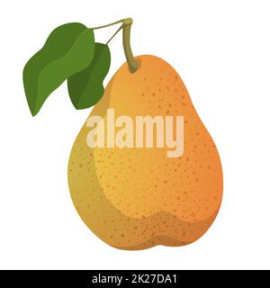 Realistic ripe fresh pear against white background - Vector Stock Photo