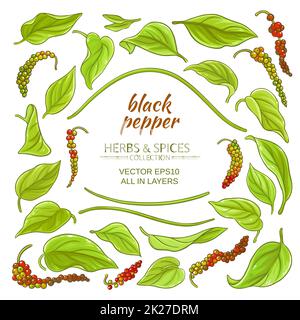 black ground pepper elements set Stock Photo