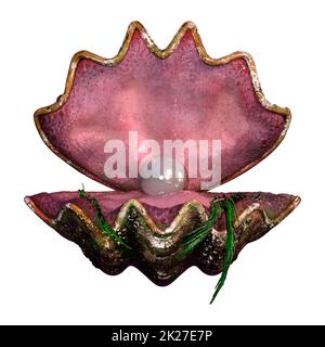 3D Rendering Giant Clam on White Stock Photo