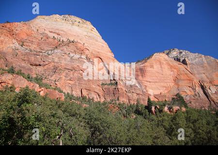 The white and red iconic peaks on top of the green trees of Zion National Park Stock Photo