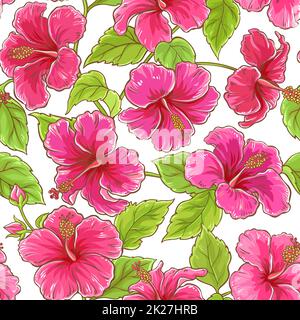 hibiscus flowers seamless pattern on white background Stock Photo