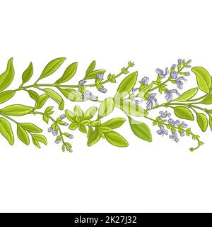 sage branch  vector pattern Stock Photo