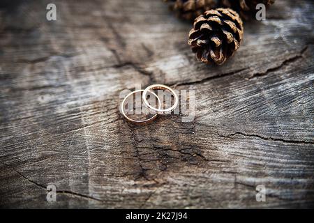 Wedding rings on a tree stump showing the rings of the tree Stock Photo