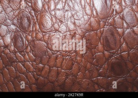 Brown leather texture macro background. rough material Stock Photo