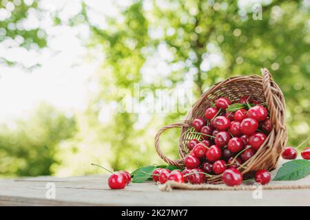 Overturned basket with big sweet cherry berries on a wooden table Stock Photo