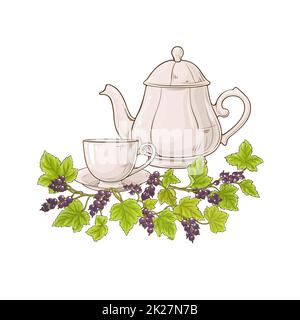 black currant tea illustration Stock Photo
