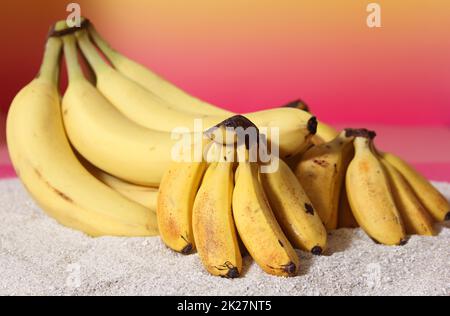 Bunches of Bananas on Beach with Sunset, Regular Bananas and Miniature Bananas Stock Photo