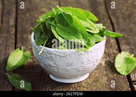 fresh organic sorrel leaves in bowl on wooden table Stock Photo