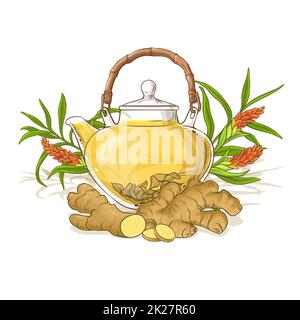 ginger tea illustration Stock Photo