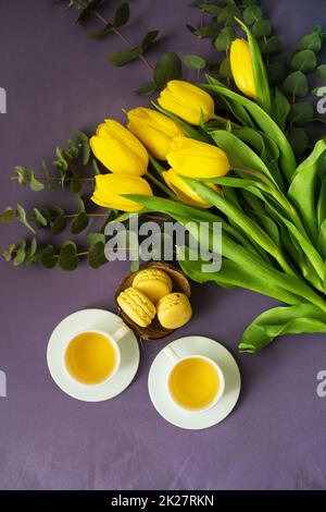 beautiful yellow tulips Stock Photo