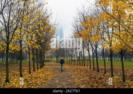 Autumn Park named after the 300th anniversary of St. Petersburg with a view of the Lakhta Center. Stock Photo