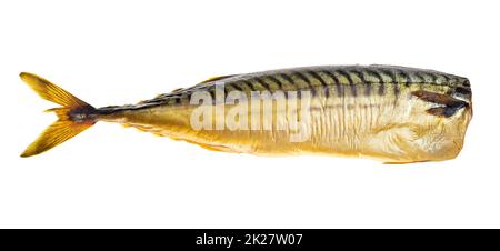 cold smoked headless mackerel isolated on white Stock Photo