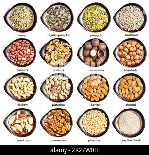 set of various cores of nuts with names in bowls Stock Photo