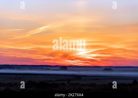 The heavenly light of the sun.Dramatic evening sky with clouds and rays of the sun.Sunlight at evening sunset or morning sunrise.Panoramic view of cirrus clouds in motion.Golden ray of the sun.Weather Stock Photo