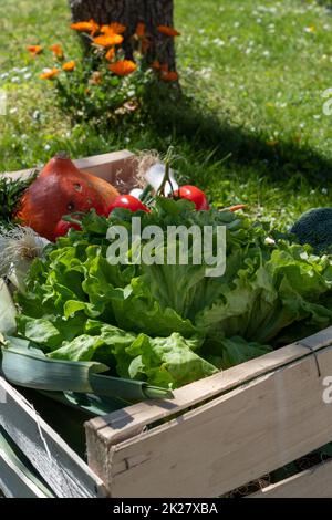 seasonal vegetables in  wooden crate Stock Photo