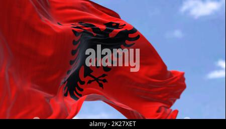 Albania flag waving in the wind. National flag of Albania. Sign of ...