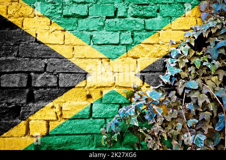 Jamaica grunge flag on brick wall with ivy plant Stock Photo