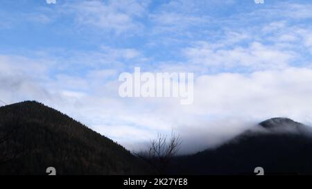Autumn rain and fog on the mountain hills. Misty autumn forest covered with low clouds. Ukraine. Spruce forest trees on the hills of mountains sticking through the morning fog over autumn landscapes. Stock Photo