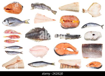 set of various iced fishes and steaks isolated Stock Photo
