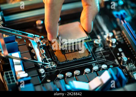 Motherboard Microchip In Hand. Computer Testing Stock Photo