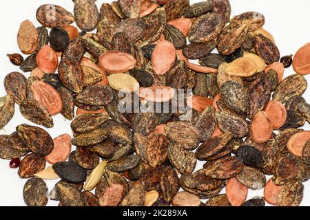 Seeds of watermelon on a white background. watermelon seeds for sowing. Stock Photo