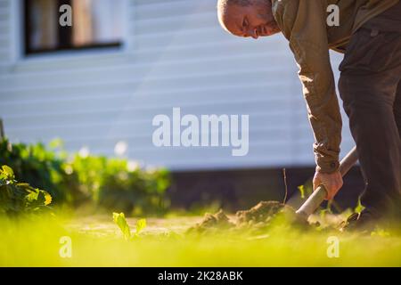 The farmer digs the soil in the vegetable garden. Preparing the soil for planting vegetables. Gardening concept. Agricultural work on the plantation Stock Photo