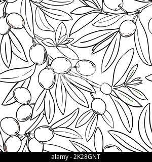 olive branches vector pattern on white background Stock Photo