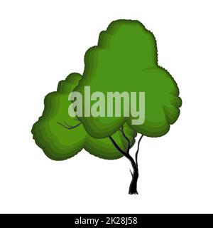 Realistic green sprawling tree isolated on white background - Vector ...