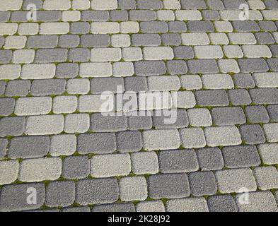 Industrial building background of paving slabs with overgrown with moss in the cracks. Texturing background Stock Photo