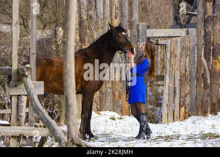 A beautiful girl in a blue dress stands with a horse against the background of an old wooden fence Stock Photo