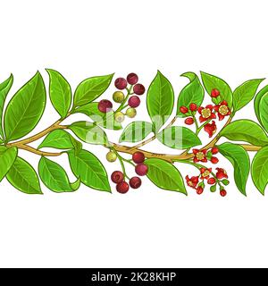 sandalwood branches vector pattern Stock Photo