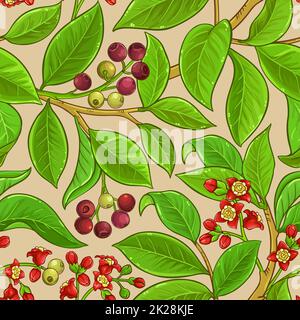 sandalwood branches vector pattern Stock Photo