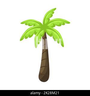 Realistic tall green palm tree isolated on white background - Vector Stock Photo