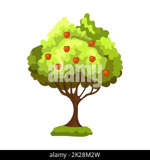 Realistic green apple tree with red apples isolated on white background - Vector Stock Photo