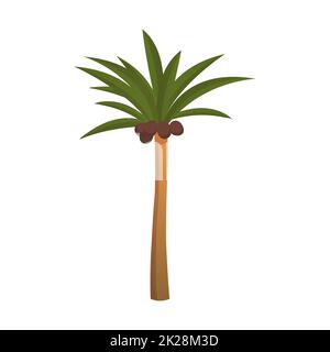 Realistic tall green palm tree isolated on white background - Vector Stock Photo