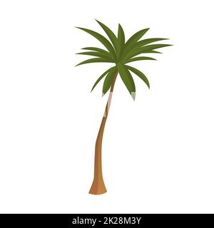 Realistic tall green palm tree isolated on white background - Vector Stock Photo