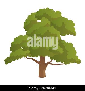 Realistic green oak isolated on white background - Vector Stock Photo