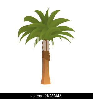 Realistic tall green palm tree isolated on white background - Vector Stock Photo