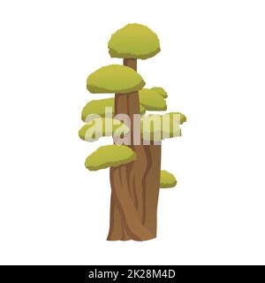 Realistic green tallest tree in the world sequoia on a white background - Vector Stock Photo