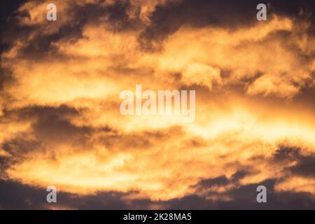 Close up view of beautiful colored dramatic cumulus fluffy clouds on blue sky at sunset background Stock Photo