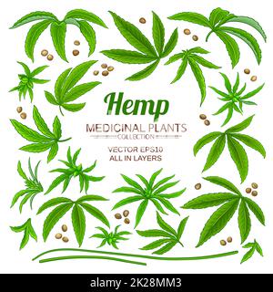 hemp plant elements set on white background Stock Photo