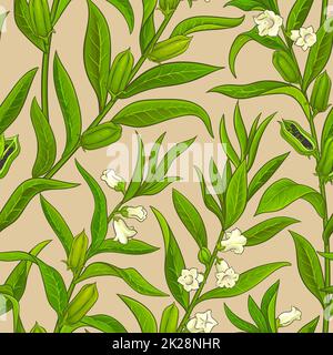 sesame plant vector pattern on color background Stock Photo