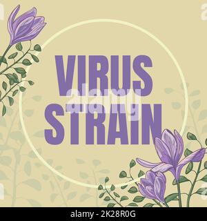Conceptual caption Virus Strain. Business concept Virus Strain Text Frame Surrounded With Assorted Flowers Hearts And Leaves. Stock Photo