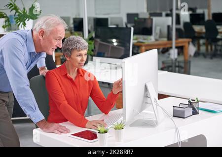 Sharing some of her insights. two mature business colleagues discussing work at a desktop computer. Stock Photo